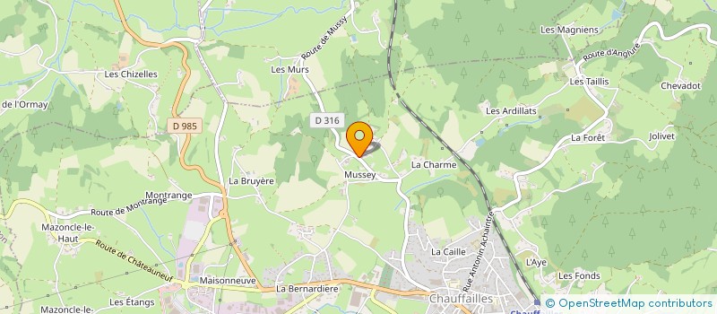 localisation de l'entreprise MADAME ANGELIQUE POINSOT  CHAUFFAILLES