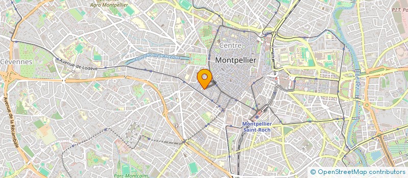 localisation de l'entreprise MADAME ANGELIQUE RAYMOND à MONTPELLIER