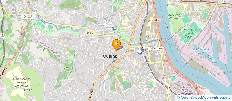 localisation de l'entreprise MADAME ANGELIQUE TOINON  OULLINS-PIERRE-BENITE