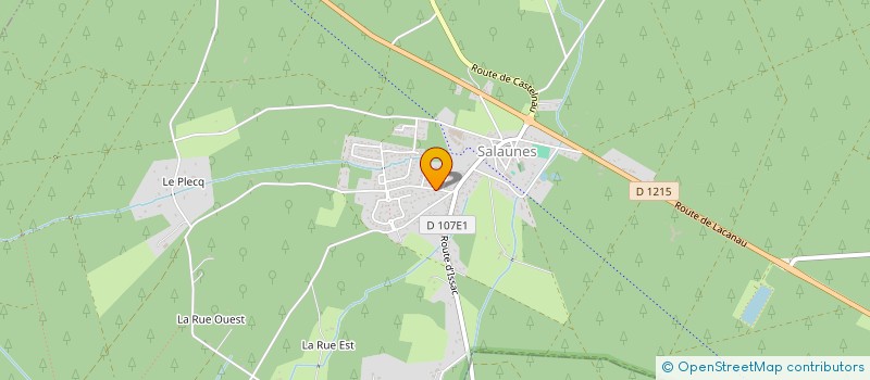 localisation de l'entreprise MADAME ANGIE DIOGO  SALAUNES