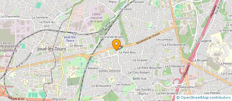 localisation de l'entreprise MADAME ANGUELINA MALKHASSIAN à JOUE-LES-TOURS