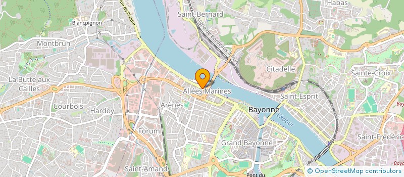 localisation de l'entreprise MADAME ANH THOAI NGUYEN  BIDART