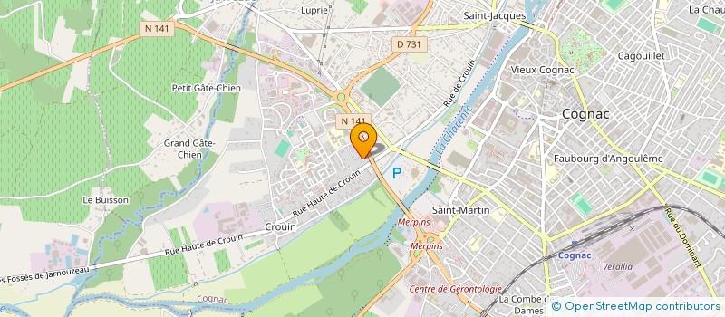 localisation de l'entreprise MADAME ANI VOSKANYAN à COGNAC