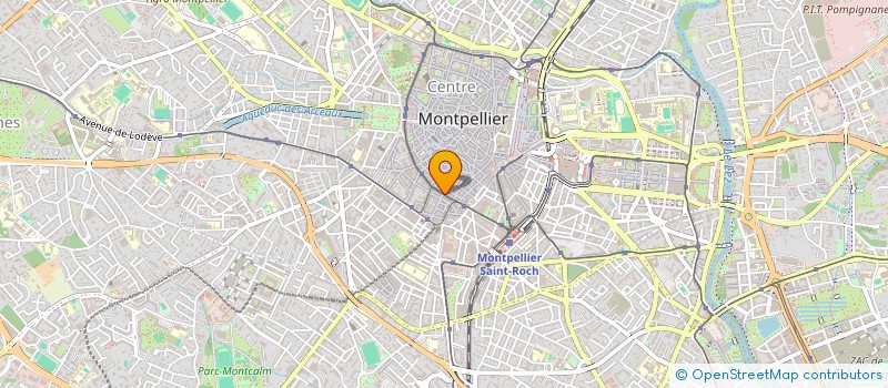 localisation de l'entreprise MADAME ANICA MATIJASEVIC à MONTPELLIER