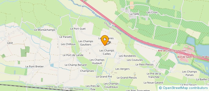 localisation de l'entreprise MADAME ANICK DELAGOUTTIERE  CHOUZE-SUR-LOIRE