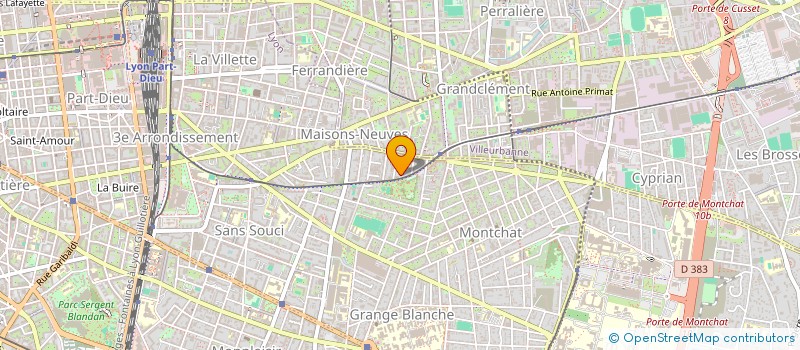 localisation de l'entreprise MADAME ANISOARA DUMITRU  LYON