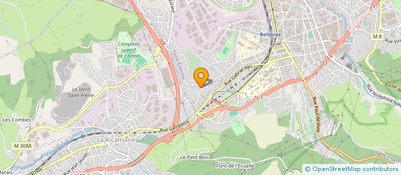 localisation de l'entreprise MADAME ANISSA BENIZID  SAINT-ETIENNE