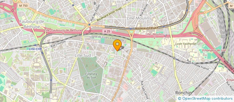localisation de l'entreprise MADAME ANISSA DANOUN à LILLE