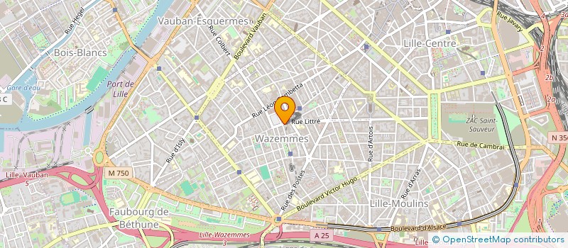 localisation de l'entreprise MADAME ANISSA MOREAU à LILLE