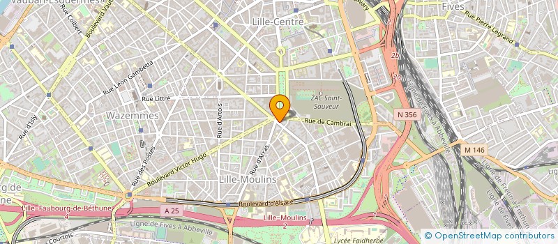 localisation de l'entreprise MADAME ANITA BLAKE  LILLE