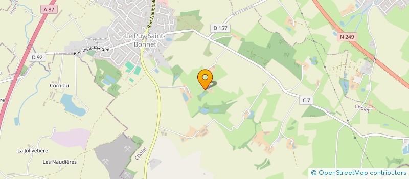 localisation de l'entreprise MADAME ANITA BOSSARD à CHOLET