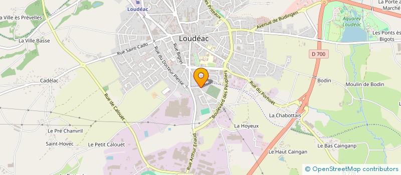 localisation de l'entreprise MADAME ANITA GALLERNE à LOUDEAC
