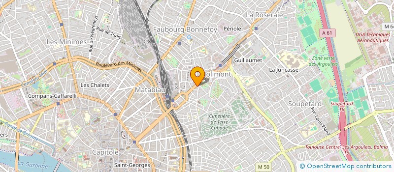 localisation de l'entreprise MADAME ANITA MASLEJOVA à TOULOUSE