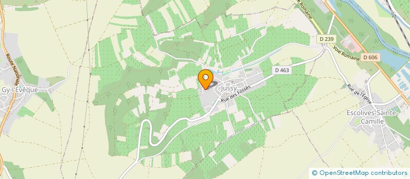 localisation de l'entreprise MADAME ANITA RODRIGUEZ à IRANCY