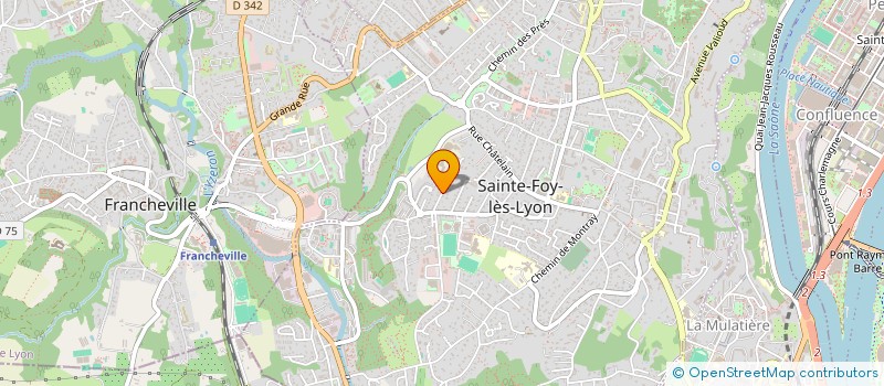 localisation de l'entreprise MADAME ANITA SKARSTEIN  SAINTE-FOY-LES-LYON