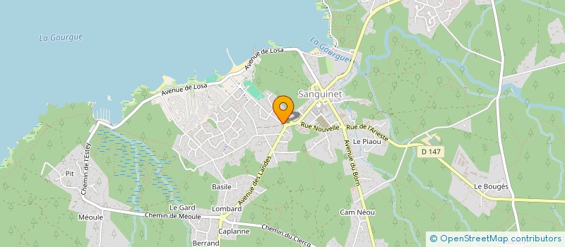 localisation de l'entreprise MADAME ANJELA RENARD  SANGUINET