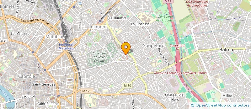 localisation de l'entreprise MADAME ANKA NIKOLOVA à TOULOUSE