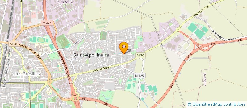 localisation de l'entreprise MADAME ANN DELCOUR  SAINT-APOLLINAIRE