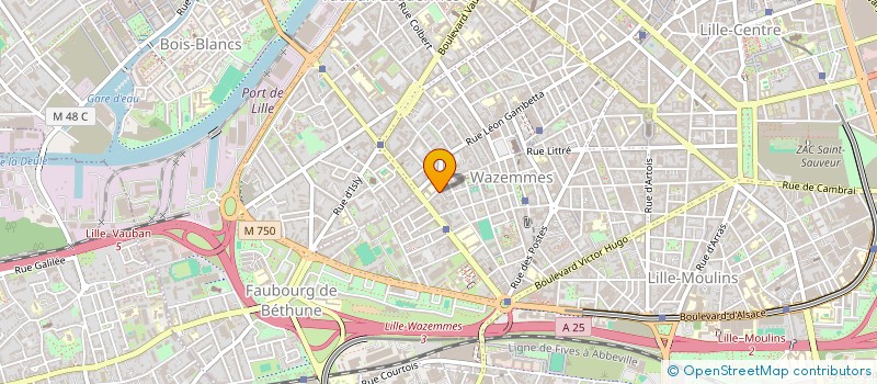 localisation de l'entreprise MADAME ANNA ANCHEITS à LILLE