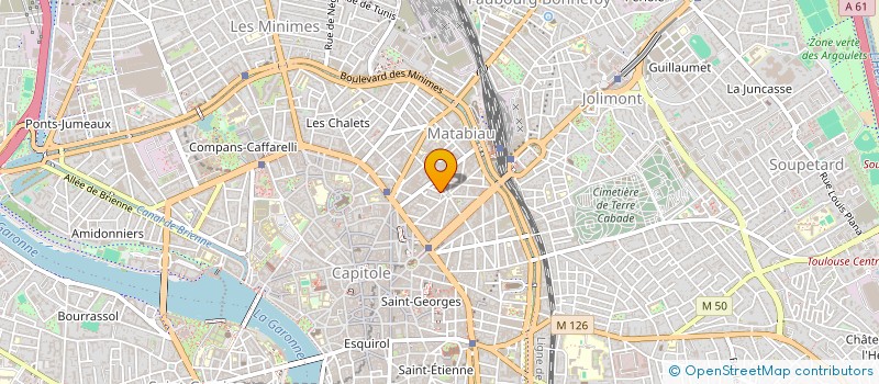 localisation de l'entreprise MADAME ANNA BOSC à TOULOUSE