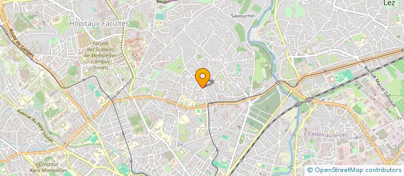 localisation de l'entreprise MADAME ANNA CHAMBONNIERE  SAINT-AUNES