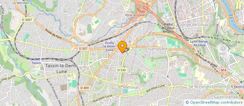 localisation de l'entreprise MADAME ANNA DE NAGOURSKI  TASSIN-LA-DEMI-LUNE