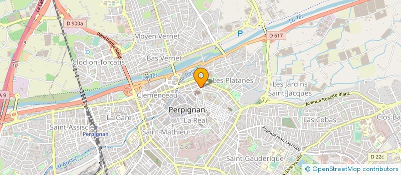 localisation de l'entreprise MADAME ANNA EVSEEVA à PERPIGNAN