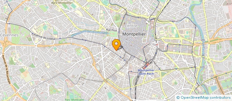 localisation de l'entreprise MADAME ANNA FALCIDIA à MONTPELLIER