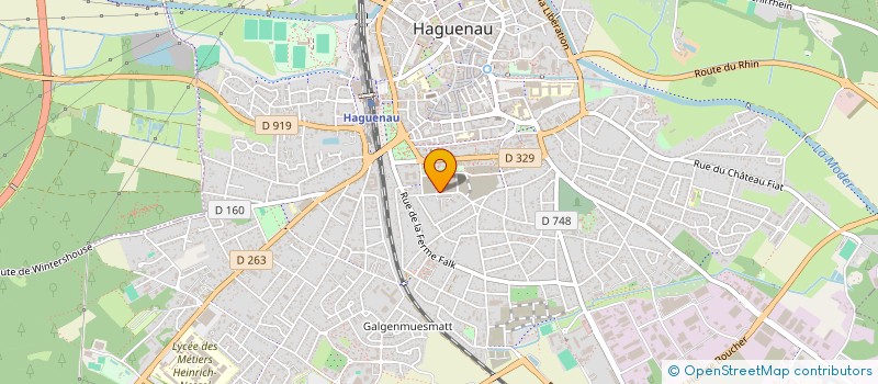 localisation de l'entreprise MADAME ANNA GASPARYAN  HAGUENAU