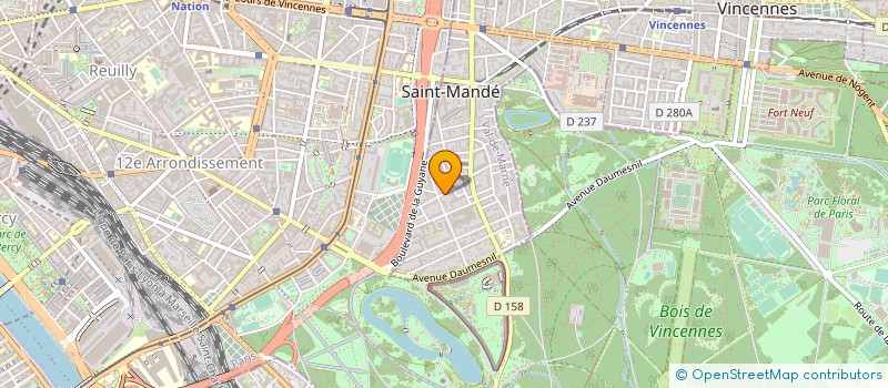 localisation de l'entreprise MADAME ANNA GOLDMAN  SAINT-MANDE