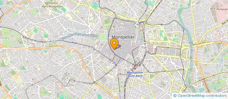 localisation de l'entreprise MADAME ANNA GONCHAROVA à MONTPELLIER