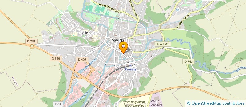 localisation de l'entreprise MADAME ANNA KALYUZHNAYA  PROVINS