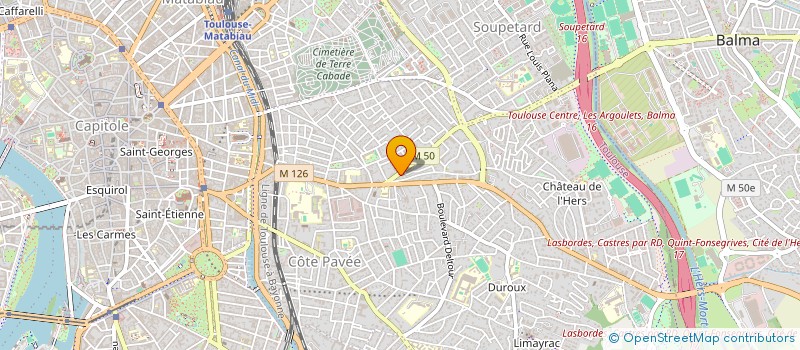 localisation de l'entreprise MADAME ANNA MASHURA à TOULOUSE