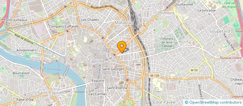 localisation de l'entreprise MADAME ANNA PHILIPPI  TOULOUSE