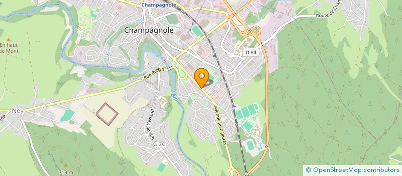 localisation de l'entreprise MADAME ANNA RADUCANU à CHAMPAGNOLE
