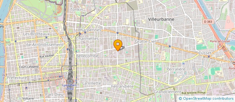 localisation de l'entreprise MADAME ANNA RINALDI  VILLEURBANNE