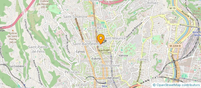 localisation de l'entreprise MADAME ANNA SHAPOVALENKO  NICE