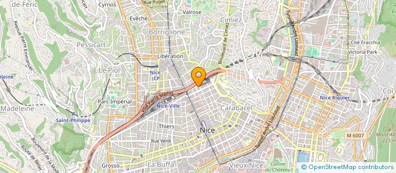 localisation de l'entreprise MADAME ANNA SNEGIREVA  NICE