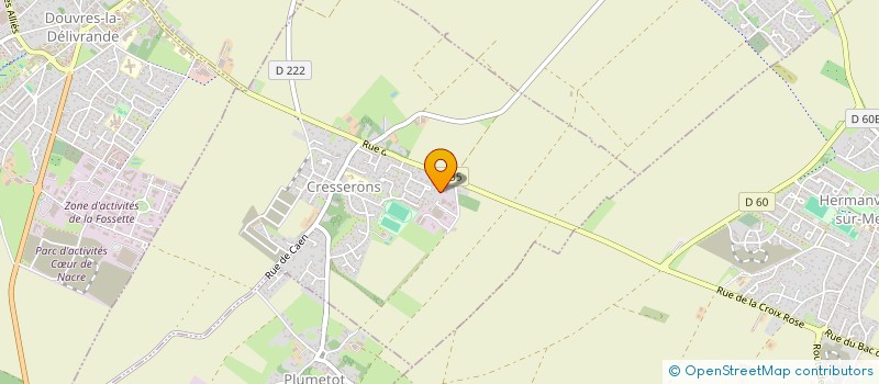 localisation de l'entreprise MADAME ANNA SOKOLOVA  DOUVRES-LA-DELIVRANDE