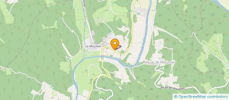 localisation de l'entreprise MADAME ANNA THIE  PEYZAC-LE-MOUSTIER