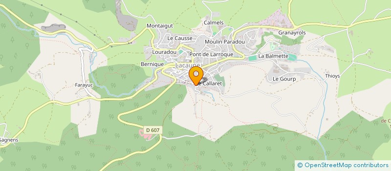 localisation de l'entreprise MADAME ANNA VIOLETTA SYNOW à LACAUNE