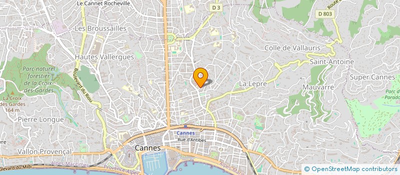 localisation de l'entreprise MADAME ANNA WOLF à CANNES