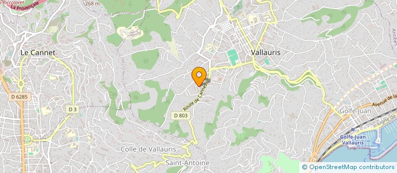 localisation de l'entreprise MADAME ANNA ZAGRODZINSKA à VALLAURIS