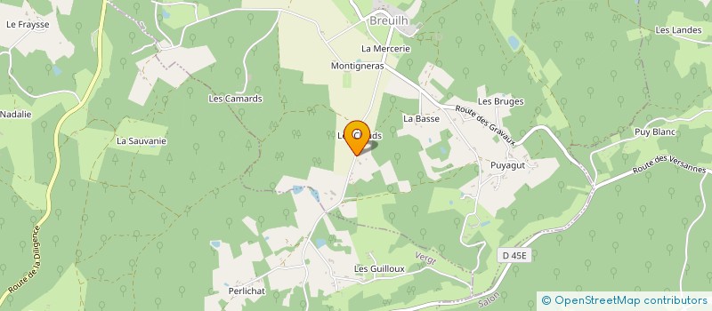 localisation de l'entreprise MADAME ANNABELLE GUERIN  SAINT-ASTIER