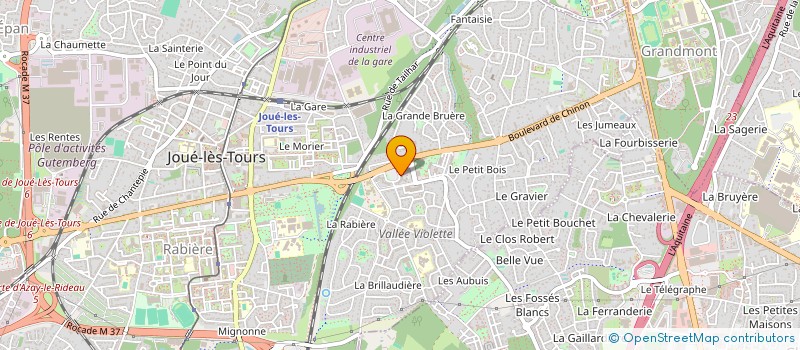 localisation de l'entreprise MADAME ANNAELLE PERRAUD  JOUE-LES-TOURS