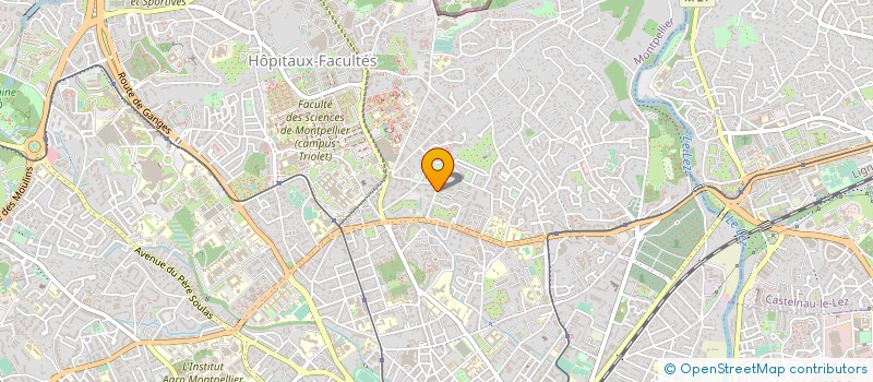 localisation de l'entreprise MADAME ANNE ADELL à MONTPELLIER