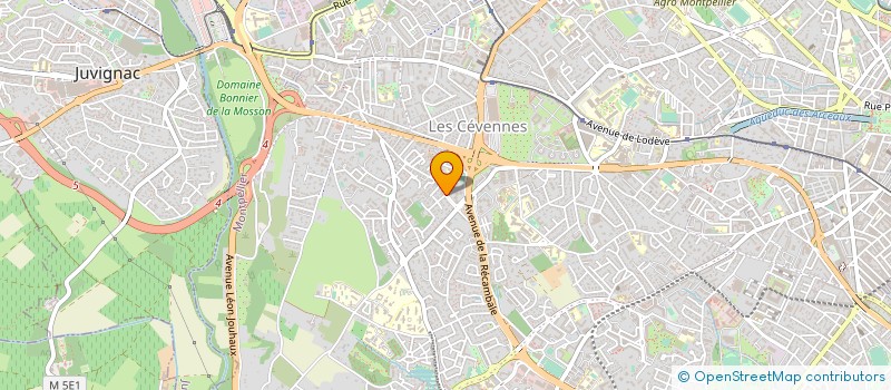 localisation de l'entreprise MADAME ANNE AMPHONESINH à MONTPELLIER