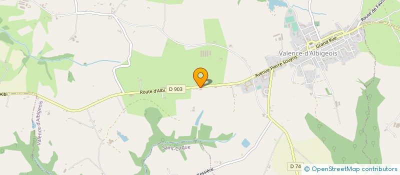 localisation de l'entreprise MADAME ANNE AT  VALENCE-D ALBIGEOIS
