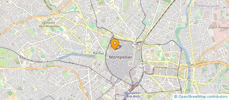 localisation de l'entreprise MADAME ANNE AUDEMARD D ALENCON à MONTPELLIER
