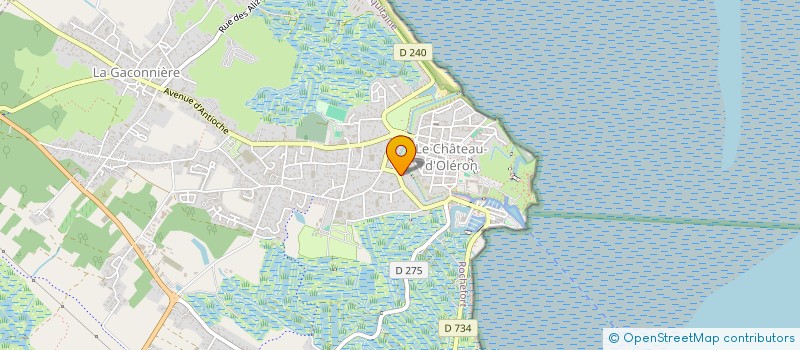 localisation de l'entreprise MADAME ANNE AVRIL  LE CHATEAU-D'OLERON